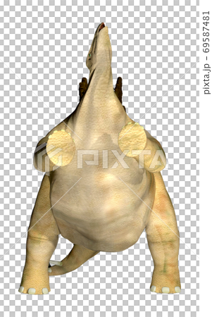 ステゴサウルス☆Stegosaur 69587481