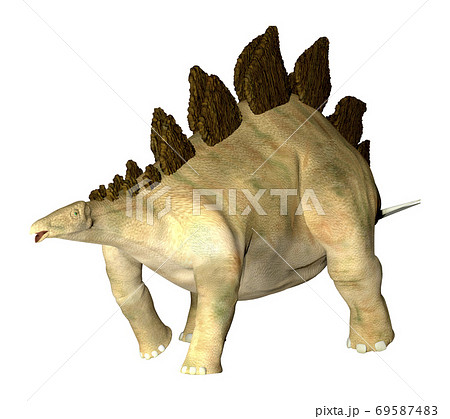 ステゴサウルス☆Stegosaur 69587483