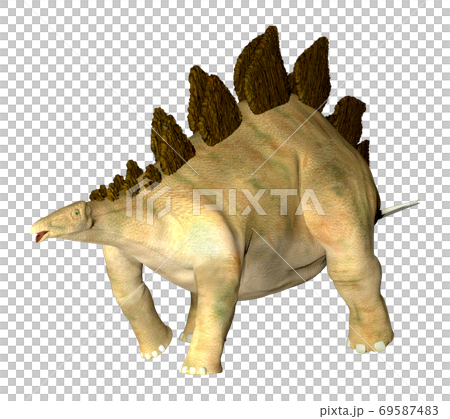 ステゴサウルス☆Stegosaur 69587483
