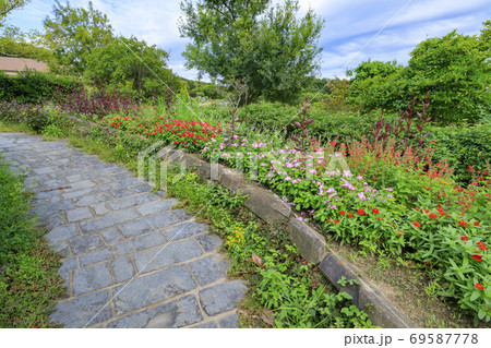 淡路景観園芸学校　秋の花々 69587778