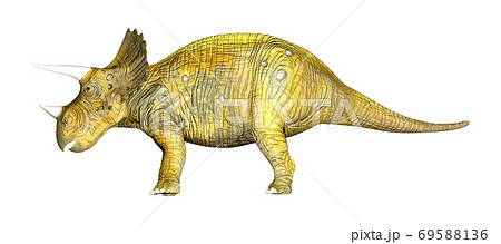 トリケラトプス トリケラトプス 69588136