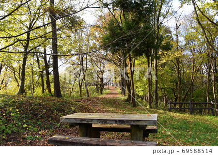 弘法山公園 ハイキング 弘法山公園 ハイキング 69588514