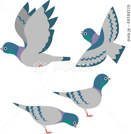 鳩 69588526
