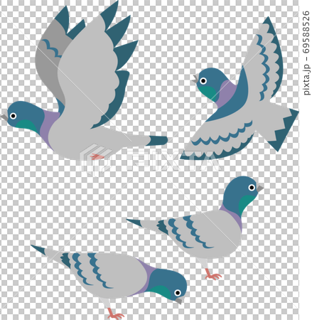 鳩 69588526