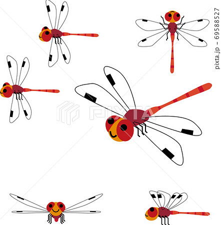 あきあかね 69588527