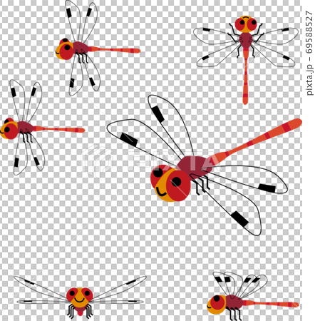 あきあかね 69588527