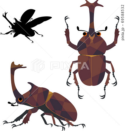 カブト虫 69588532