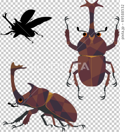 甲蟲昆蟲 甲蟲昆蟲 69588532