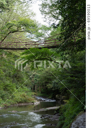 かずら橋 福井県 かずら橋 福井県 69590013