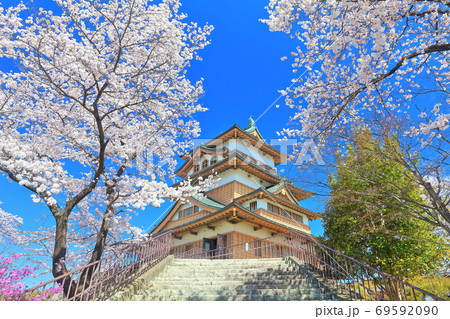 【長野県】 桜満開の高島城(天守閣) 69592090