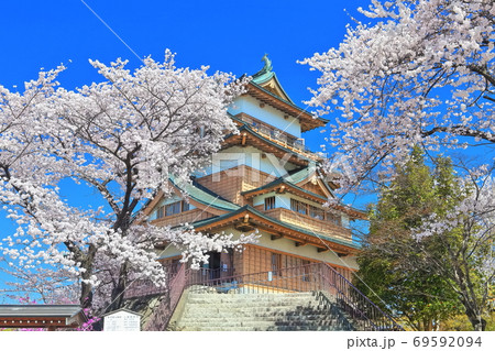 【長野県】 桜満開の高島城(天守閣) 【長野県】 桜満開の高島城(天守閣) 69592094