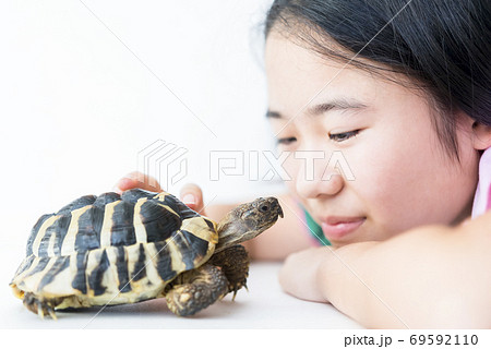 女の子とペットのリクガメ 69592110
