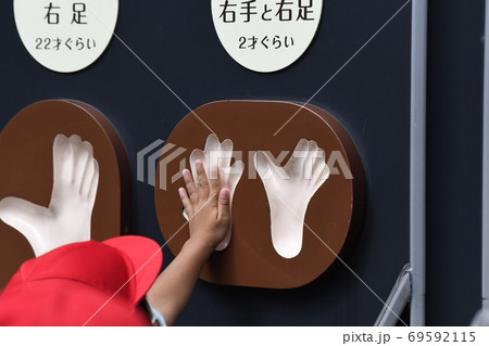 チンパンジー手形ー1 69592115