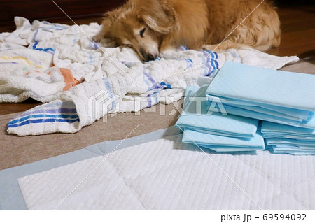 犬用ペットシーツ 69594092