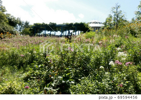 比叡山山頂：ガーデンミユージアム比叡＆花壇の花々 69594456