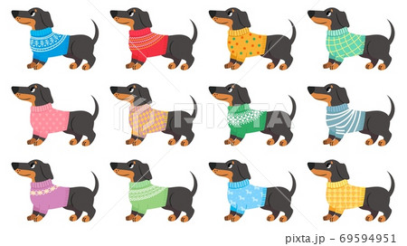 Dachshund clothes. Dogs wear with trendy patterns, puppy in various sweaters. Cute pets, dachshunds fashion cartoon vector set Dachshund clothes. Dogs wear with trendy patterns, puppy in various sweaters. Cute pets, dachshunds fashion cartoon vector set 69594951