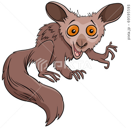 funny aye-aye cartoon wild animal character 69595593