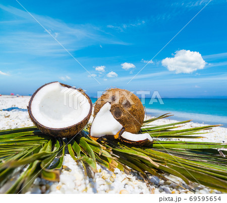 Coconuts halves on palm leaves Coconuts halves on palm leaves 69595654