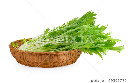 Fresh mizuna on white background Fresh mizuna on white background 69595772