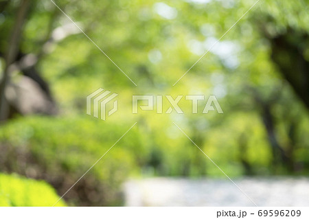 公園・ボケ表現 69596209