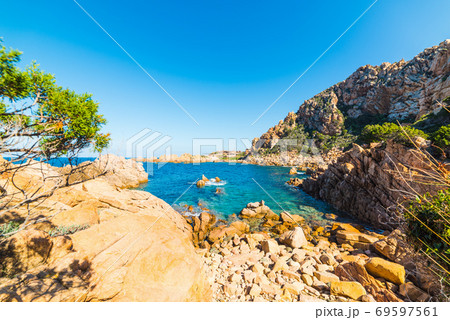rocks and plants in Sardinia 69597561