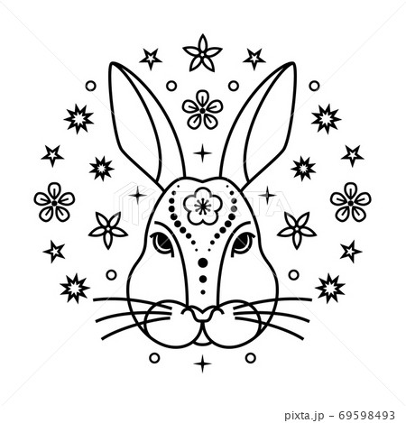 Bunny chinese zodiac sign 69598493