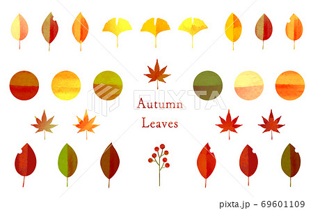 秋 バイカラーの紅葉した葉っぱと木の実の水彩 切り絵風イラスト素材 セットのイラスト素材