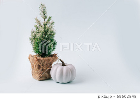Winter layout with a small Christmas tree on a blue background Winter layout with a small Christmas tree on a blue background 69602848