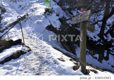 冬の丹沢山地 表尾根の政次郎ノ頭 69604983