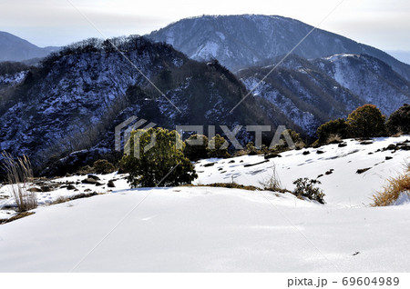 冬の丹沢 表尾根 69604989