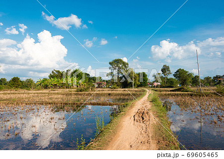 ラオス・シーパンドン ドンデット(デット島)の風景 ラオス・チャンパーサック県デット島 ラオス・シーパンドン ドンデット(デット島)の風景 ラオス・チャンパーサック県デット島 69605465