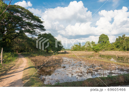 ラオス・シーパンドン ドンデット(デット島)の風景 ラオス・チャンパーサック県デット島 ラオス・シーパンドン ドンデット(デット島)の風景 ラオス・チャンパーサック県デット島 69605466