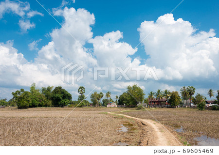 ラオス・シーパンドン ドンデット(デット島)の風景 ラオス・チャンパーサック県デット島 ラオス・シーパンドン ドンデット(デット島)の風景 ラオス・チャンパーサック県デット島 69605469