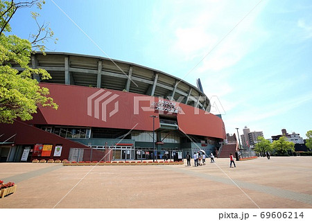 ズームズームスタジアムhanako2 69606214