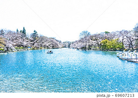 満開の桜と池のボート【色鉛筆】 満開の桜と池のボート【色鉛筆】 69607213