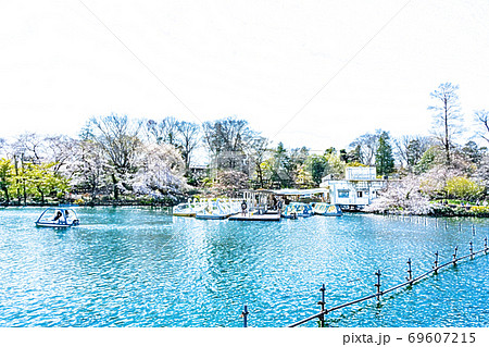 満開の桜と池のボート【色鉛筆】のイラスト素材 [69607215] - PIXTA