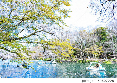 満開の桜と池のボート 色鉛筆 のイラスト素材