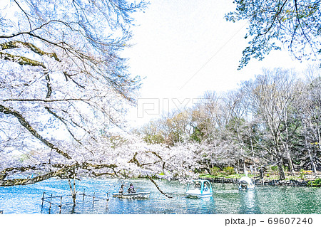 満開の桜と池のボート【色鉛筆】 69607240