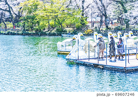 満開の桜と池のボート 色鉛筆 のイラスト素材