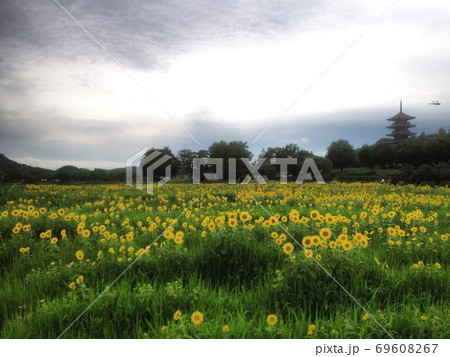 備中国分寺 69608267