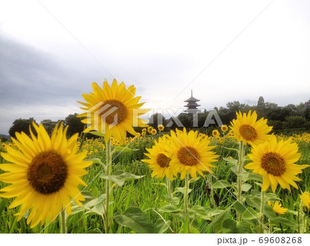 備中国分寺 69608268