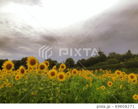 備中国分寺 69608271