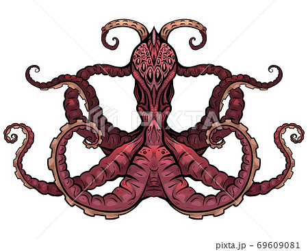 Color illustration of octopus. The object is separate from the background 69609081