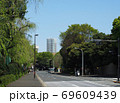 神宮外苑の周回道路の様子　四谷角筈線　東京都道414号 69609439