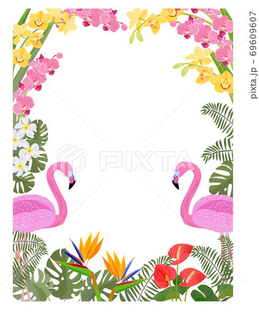 トロピカルなイメージ 熱帯植物とフラミンゴのイラスト素材