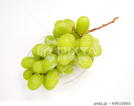 シャインマスカット　ぶどう　ブドウ　葡萄 69610060