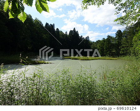 西向沼　市民の森　米沢 69610124