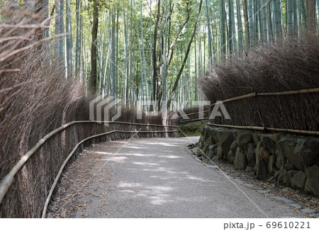 嵐山観光名所 竹林の小径 嵐山観光名所 竹林の小径 69610221