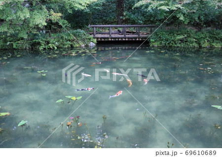 岐阜県  名もなき池  通称モネの池 69610689