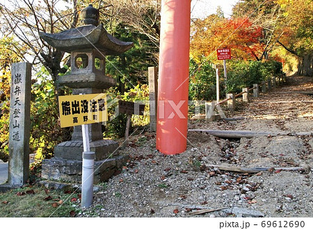熊出没注意　高野山　和歌山 69612690